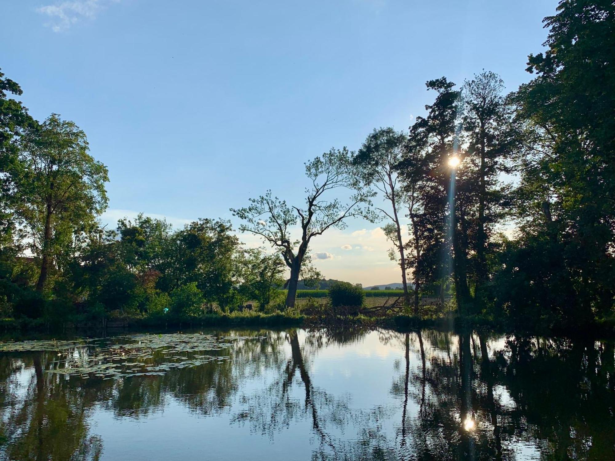 Wohnen Im Wasserschloss Sandizell Schrobenhausen Extérieur photo